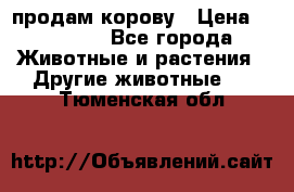 продам корову › Цена ­ 70 000 - Все города Животные и растения » Другие животные   . Тюменская обл.